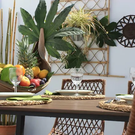 Palmeira Apartman Faro