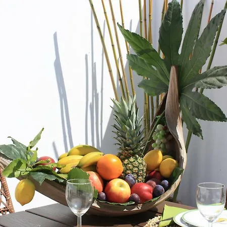 Palmeira Apartamento