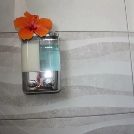 Palmeira Distrito de Faro