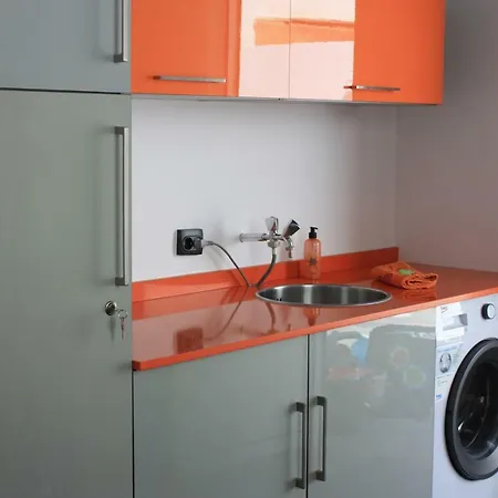 Palmeira District de Faro