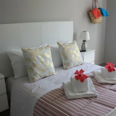 Palmeira Distrito de Faro